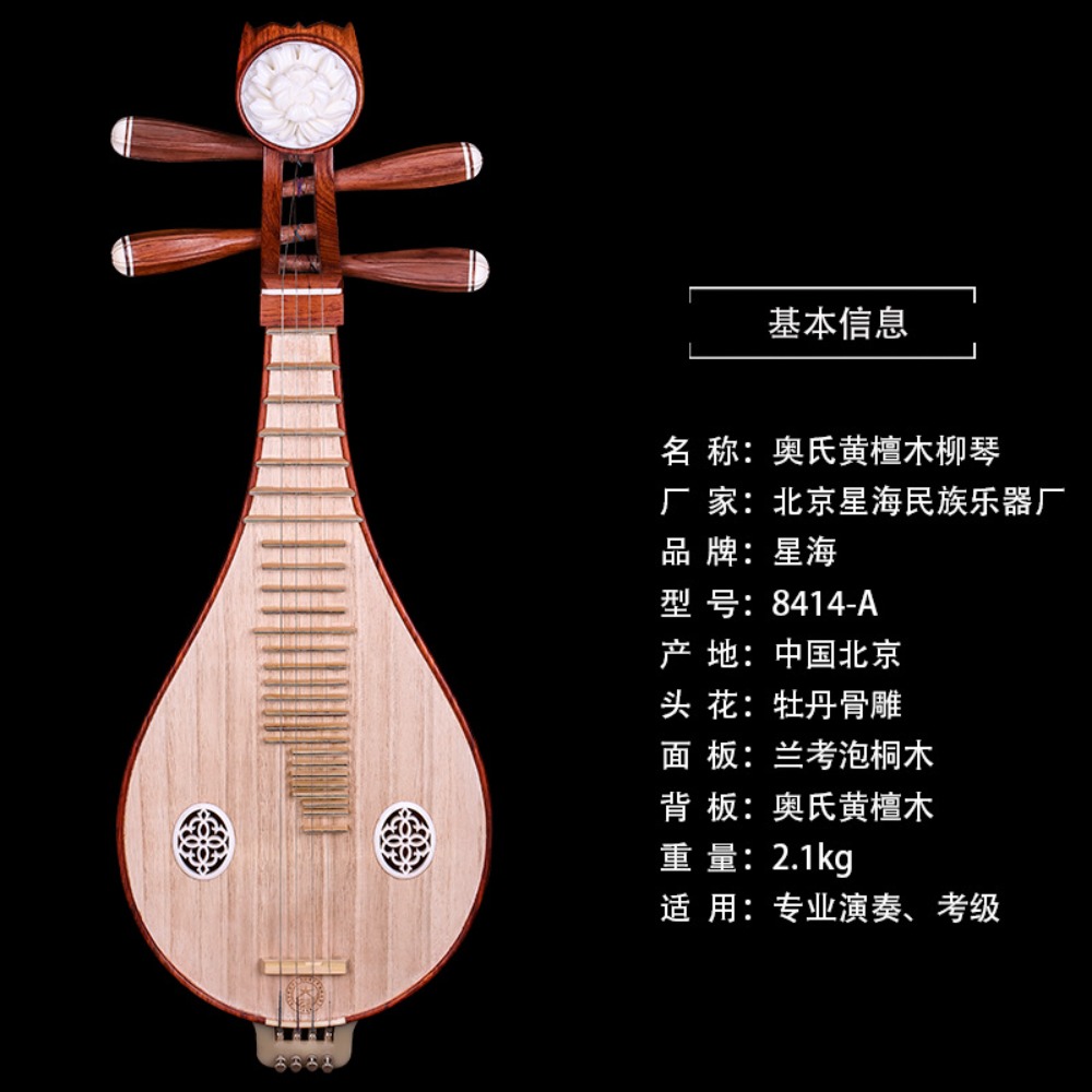 Beijing Xinghai 8414-A Rosewoo - Musical Instrument Music review and price