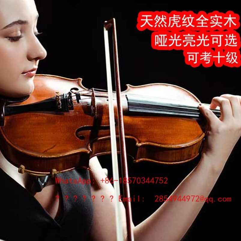 Professional Playing Grade Vio - Musical Instrument Net review and price
