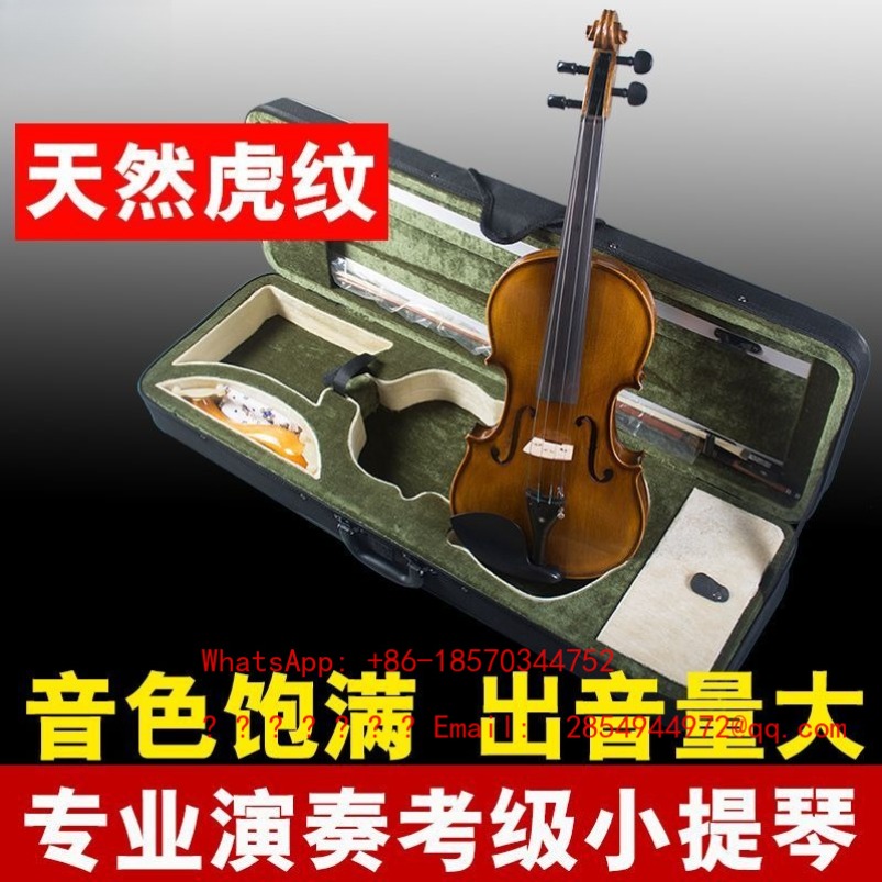 Professional Playing Grade Vio - Musical Instrument Net review and price