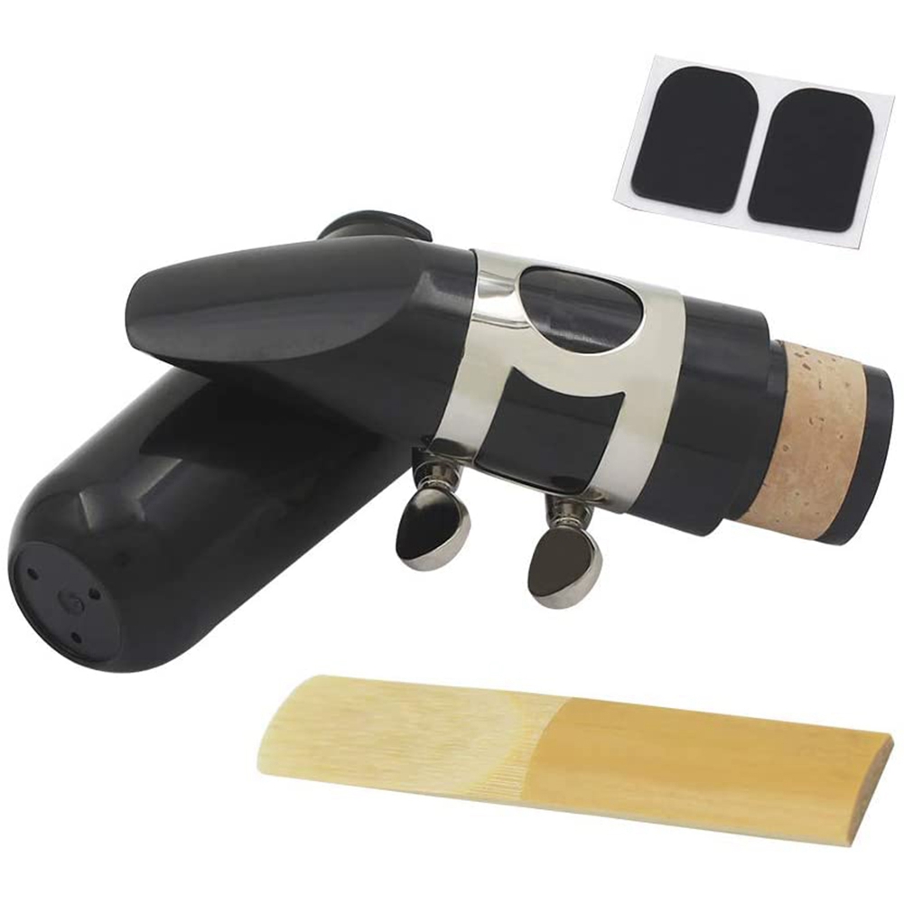 A74K-Mouthpiece Kit, Includes  - Musical Instrument Reed review and price