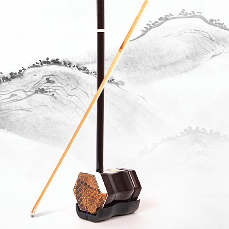 Chinese Huqin Erhu 01A1 String - Musical Instrument Videos review and price