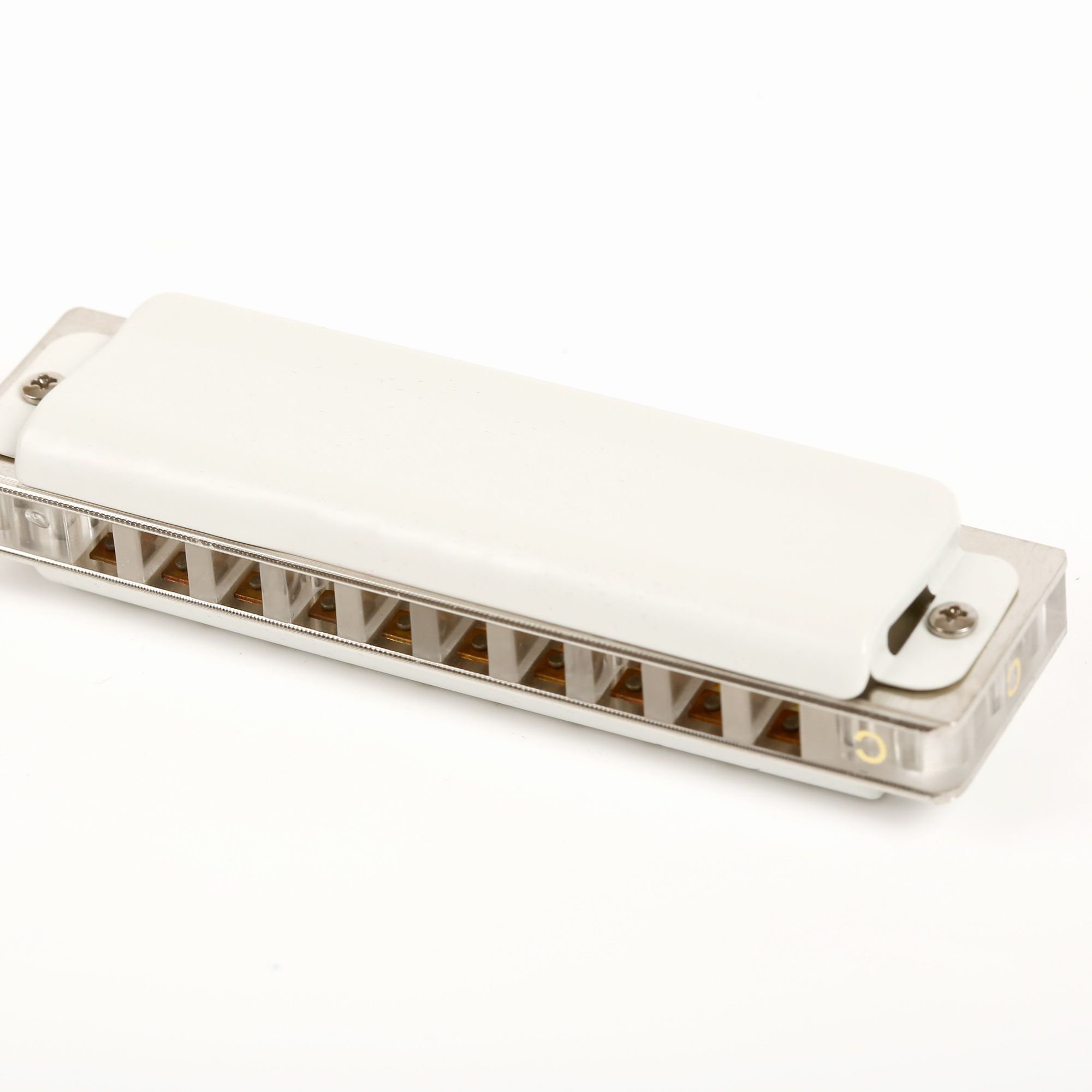 East top 10 hole harmonica pro - Musical Instrument Reed review and price
